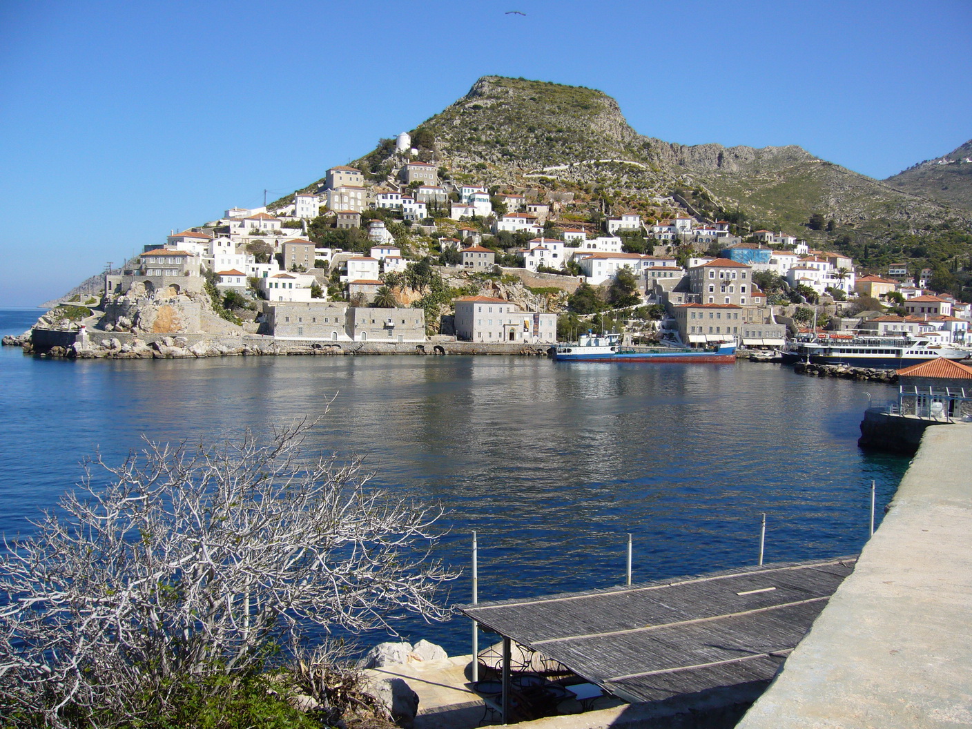 Hydra